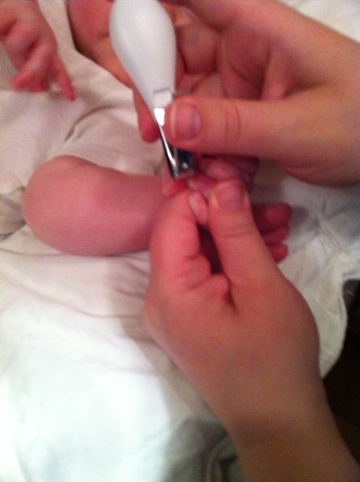 20110808-014338.jpg